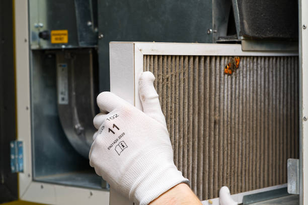 Best Ductwork Cleaning Services  in Edgemoor, DE